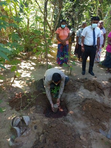 හරිත දැයක් ජාතික ගෙවතු වගා සංග්‍රාමය - 2022